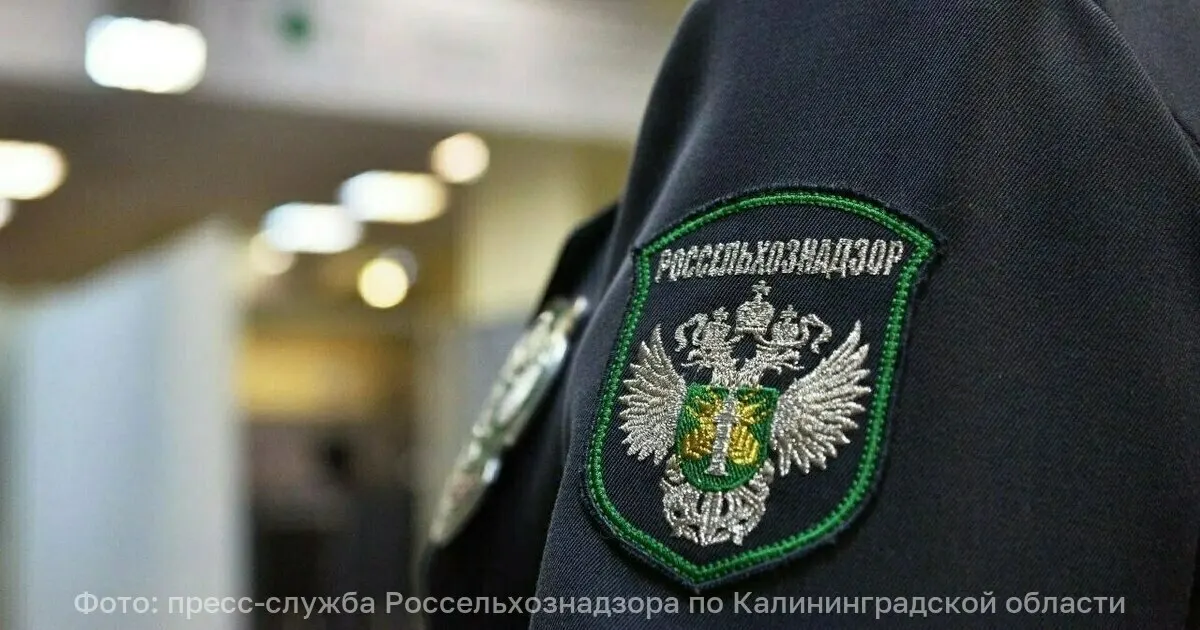 Россельхознадзор выявил в творожных сырках со сгущёнкой заменитель молочного жира; у предприятия отозвали декларацию о соответствии, реализация продукции приостановлена до устранения нарушений.