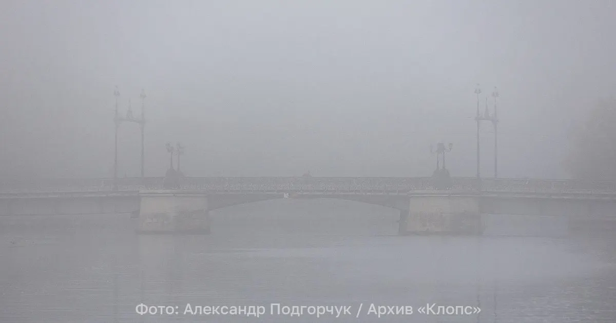 В ночь на 23 июня в Калининградской области ожидается густой туман — на отдельных участках дорог видимость может упасть до 200 м. Ночью +11…+16°C, днём +20…+25°C; на побережье немного прохладнее.