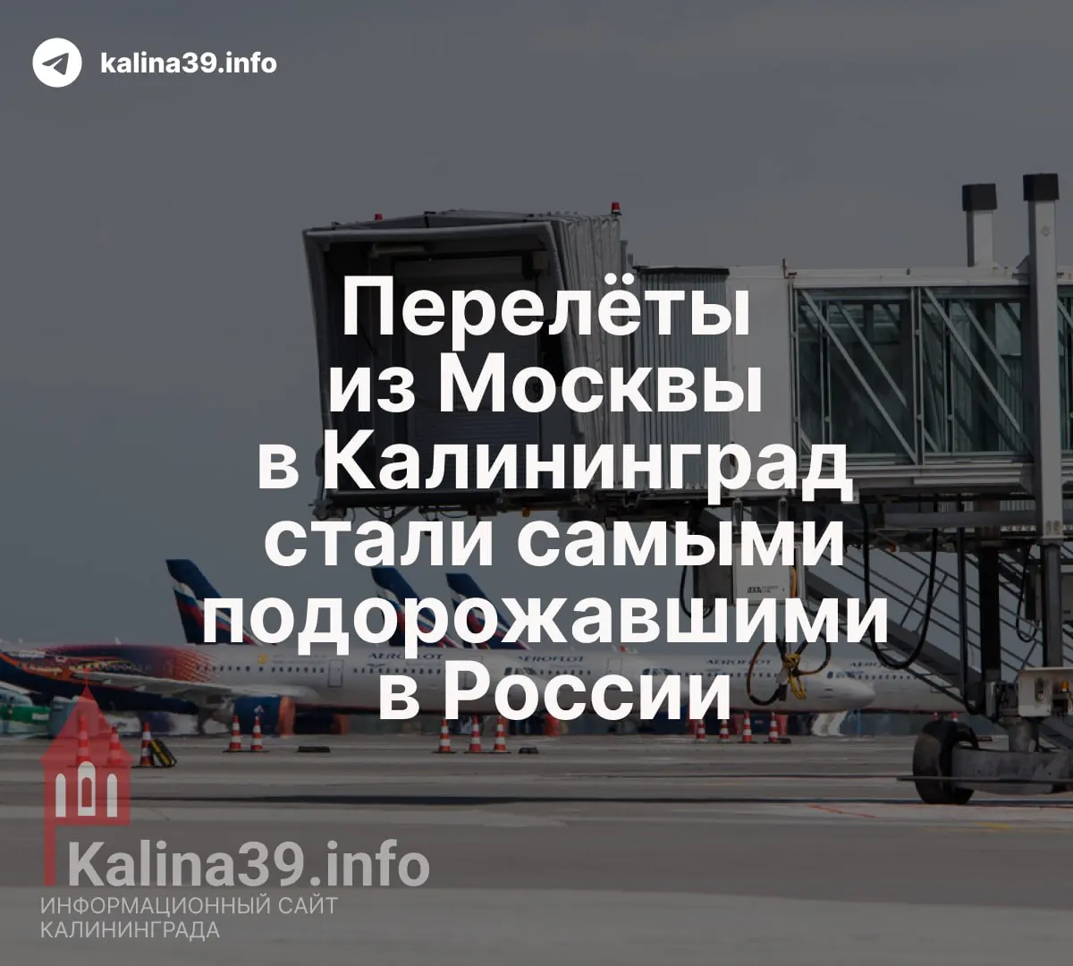 За год билеты по маршруту Москва — Калининград с багажом подорожали на 57,4% — с ≈16,4 тыс. до 25,8 тыс. рублей; без багажа рост превысил 27%. Эксперты связывают это с высоким спросом на отдых в регионе.