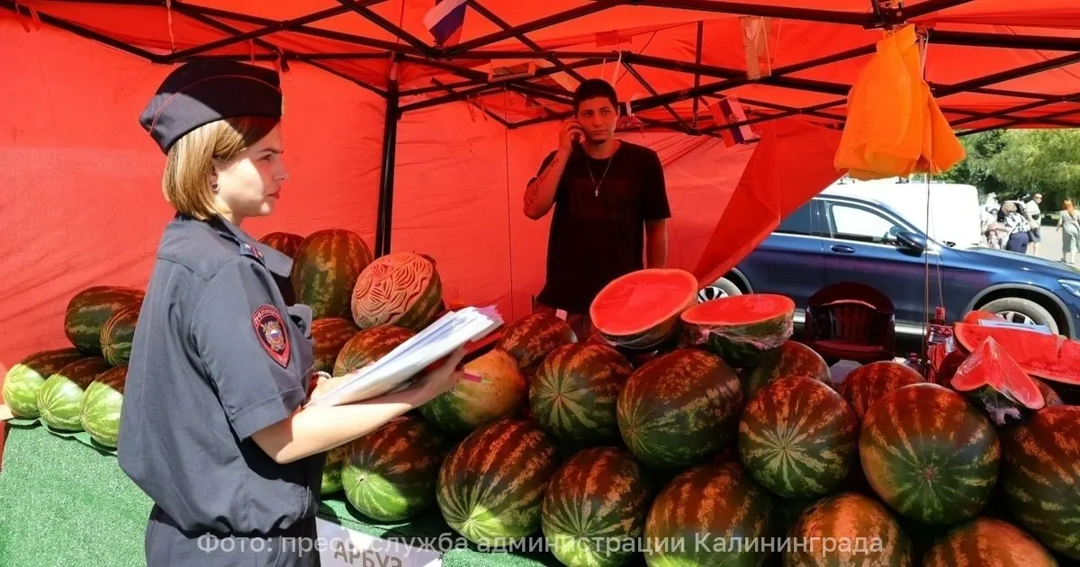 В Центральном районе Калининграда проводится рейд по незаконной торговле арбузами и фруктами на автобусных остановках.