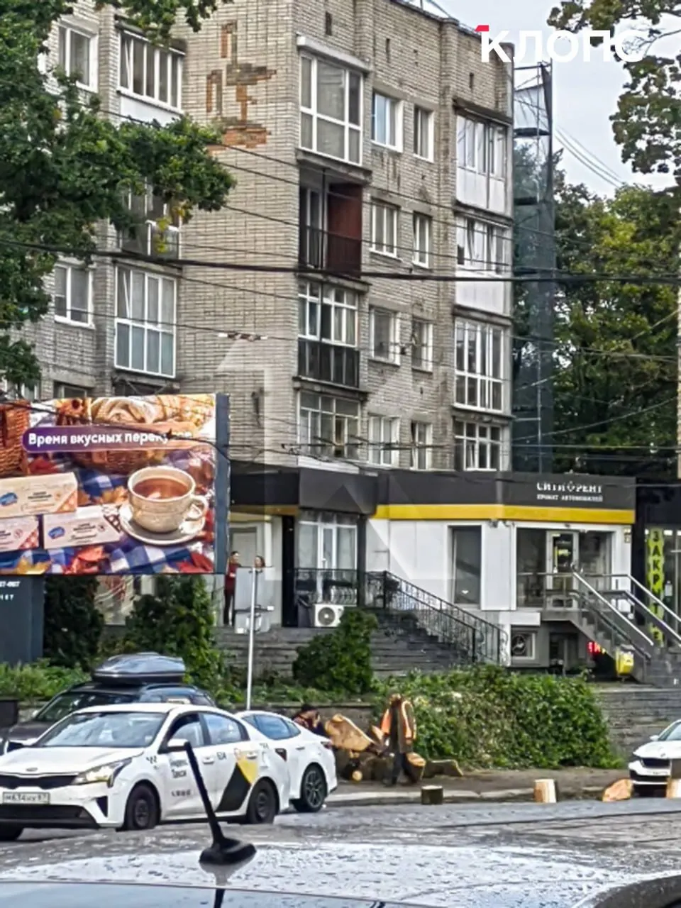 На проспекте Мира в Калининграде спилили крупное дерево напротив кинотеатра «Заря». Жители требуют разъяснений от городской администрации.