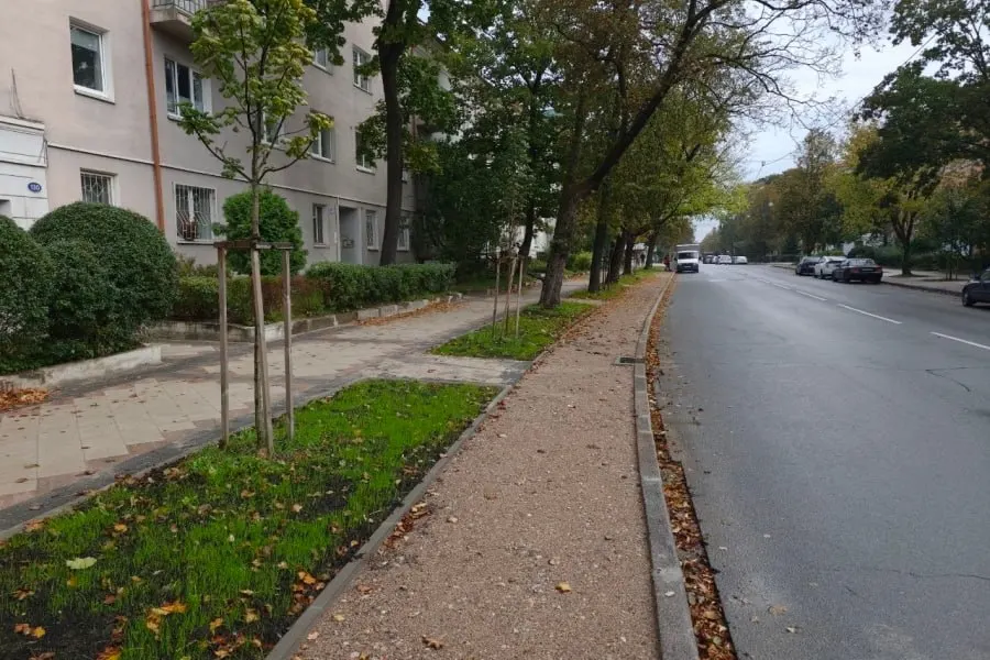 На улице Карла Маркса в Калининграде восстанавливают последнюю довоенную велодорожку, чтобы увеличить парковочные места и упорядочить движение.