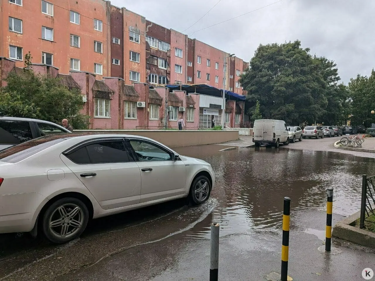 После недавнего дождя перед поликлиникой на Университетской возникла крупная лужа, пройти к зданию можно лишь обходя её по траве; власти обещали проверить ливневку.