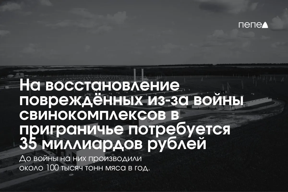 Реабилитация свинокомплексов и меры безопасности требуют крупных инвестиций, а производство в регионе занимает значительную долю российского рынка.