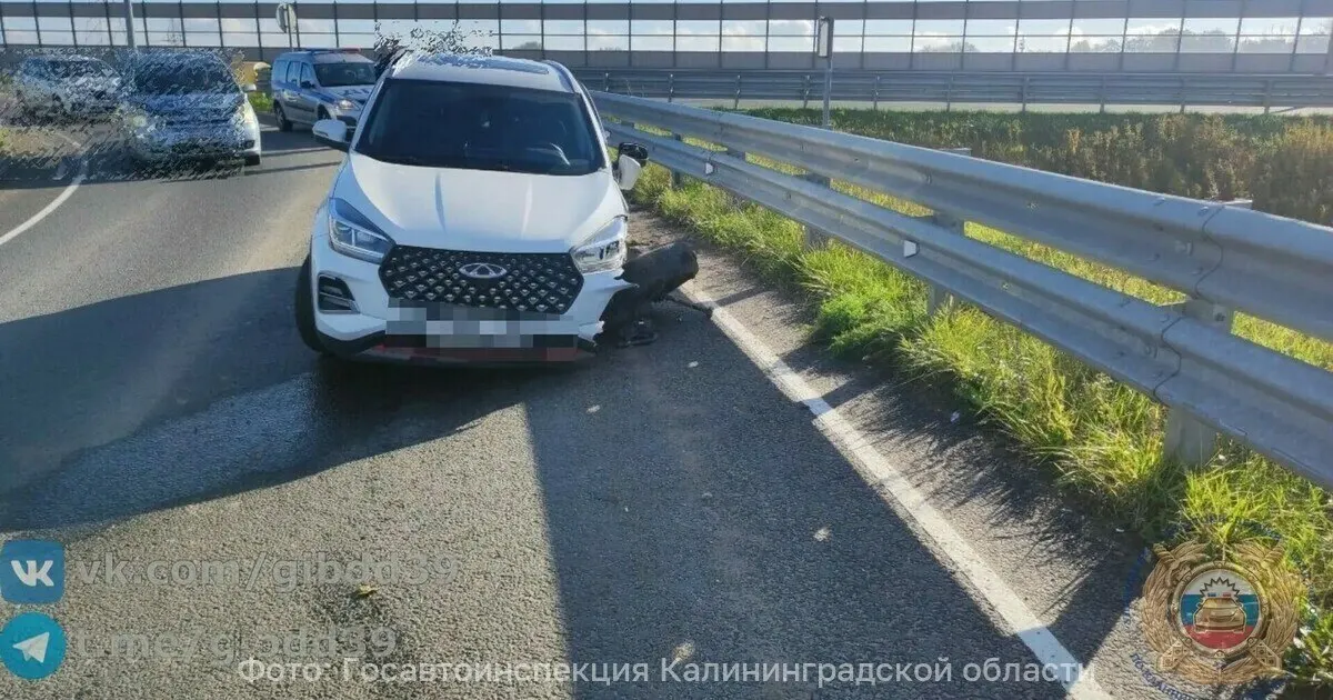 Годовалый ребёнок и водитель пострадали в аварии на Северном обходе Калининграда.