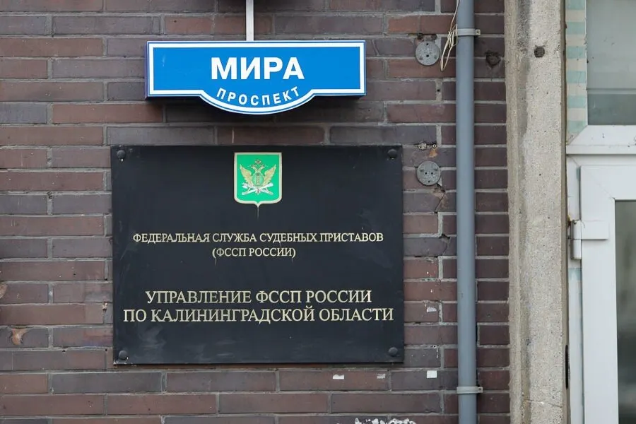 После вмешательства судебных приставов московская фирма вернула калининградскому производителю 6 млн рублей за непоставленный товар; суд взыскал долг и штраф.