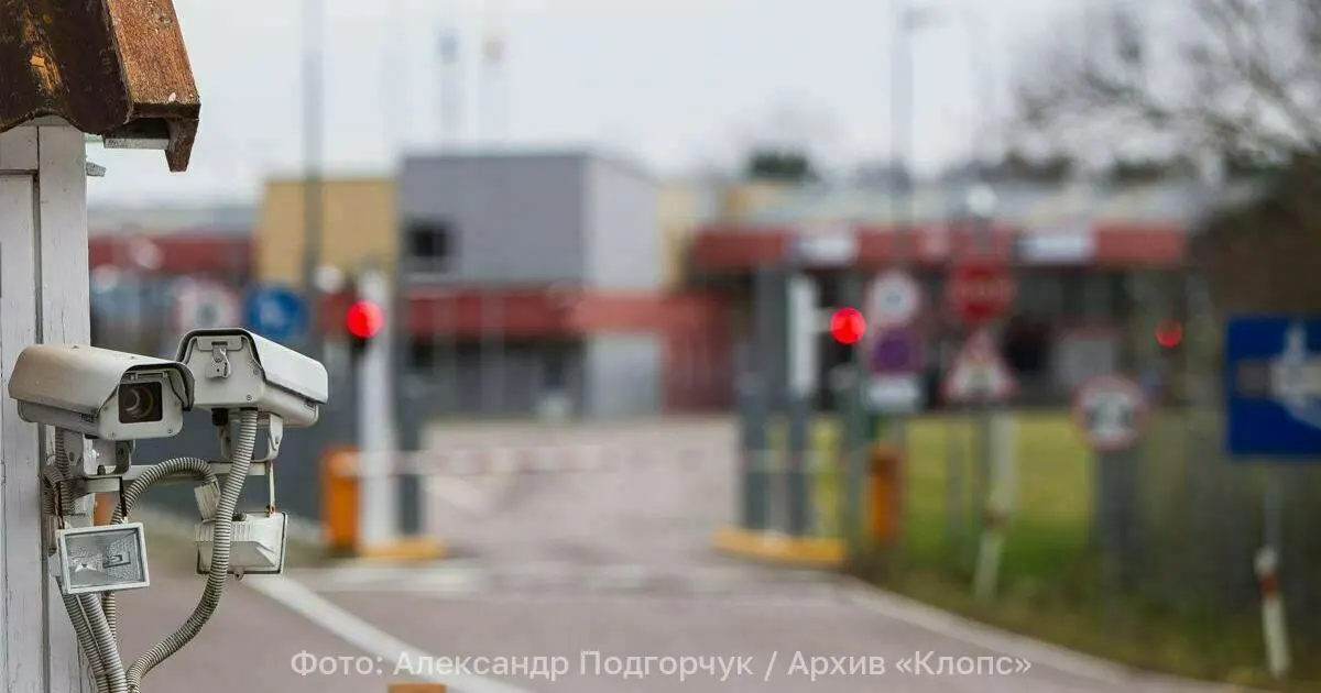 Гражданин пытался ввезти 13,5 кг брусники из Литвы в Калининградскую область без фитосанитарного сертификата; груз пришлось вернуть обратно.