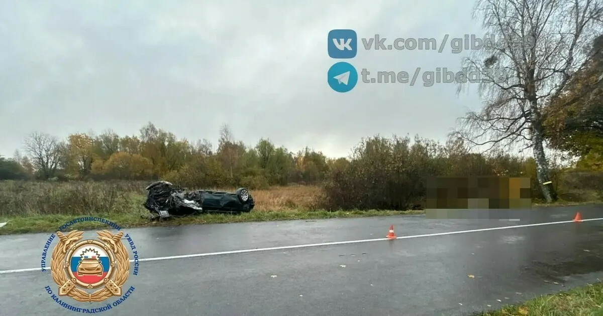 На трассе Калининград — Светлое — Корнево — разъезд произошло смертельное ДТП: водитель пострадал, пассажирка BMW погибла. Расследование ведут сотрудники ГИБДД.