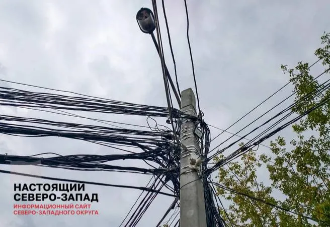 Предлагается перенести расходы на защиту электросетей в тарифы на передачу электричества, что может привести к росту счетов для бизнеса и бытовых потребителей.