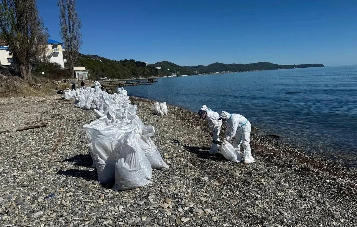 В Туапсинском районе после объявления режима ЧС рекомендовали пользоваться только бутилированной водой: запрещено пить и применять для приготовления пищи воду из труб, родников и уличных колонок. В регионе зафиксировали локальные выбросы нефтепродуктов на нескольких участках береговой линии.