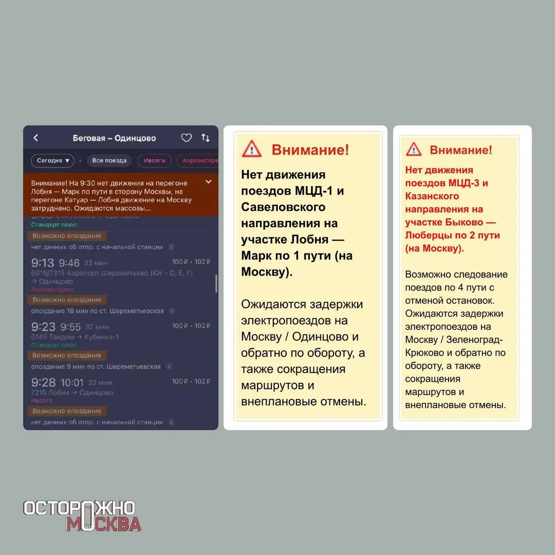 Сильный снегопад привёл к смертельному ДТП на дороге Зарайск — Луховицы, падению деревьев в Москве и Подмосковье, повреждению линий электропередачи и задержкам поездов на МЦД.