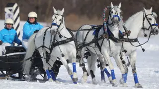 Помощник президента России Владимир Мединский выступил с инициативой придать состязаниям в упряжке «русская тройка» статус национального вида спорта. Ранее этот вид уже был включён в реестр признанных видов спорта Минспорта РФ.
