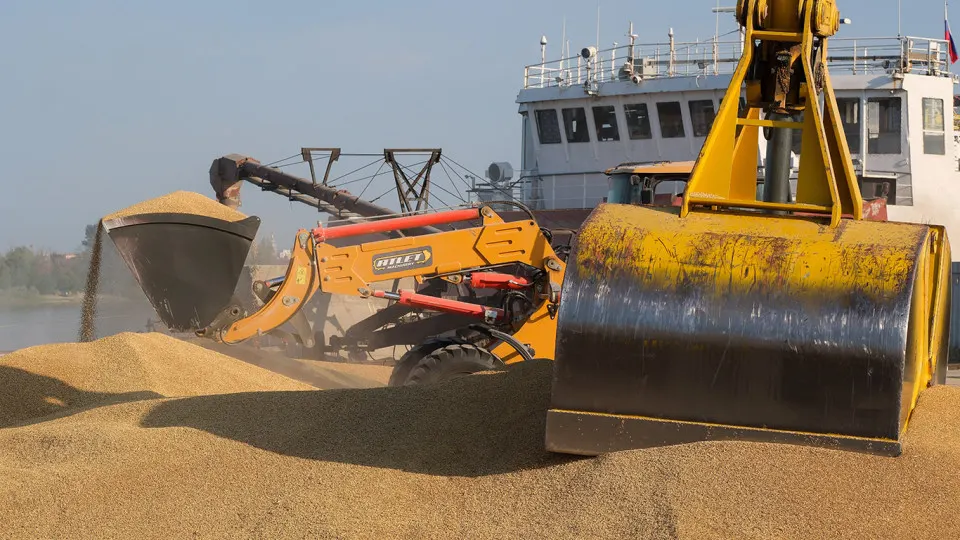 Киев заявляет, что в израильские порты прибыли суда с зерном, вывезенным с захваченных территорий; Украина требует расследования и готовит санкции, Израиль обещает проверить информацию.