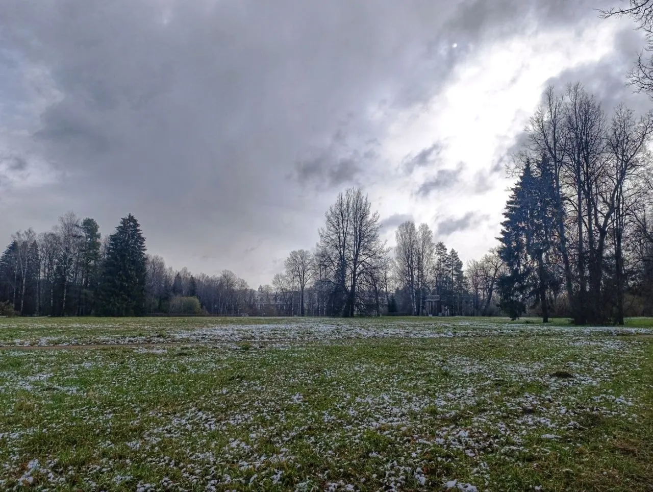У входа в музей‑заповедник «Павловск» отдыхающие поделились противоположными впечатлениями: кому‑то хочется тепла, а кто‑то наслаждается зимней свежестью. Фотография из парка.