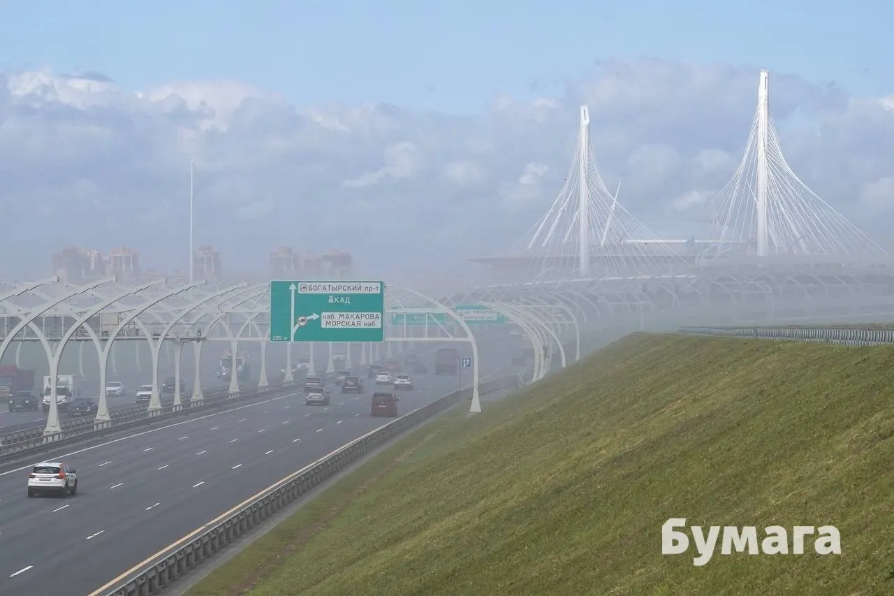 Изначально активистов обязали выплатить 286 тыс. руб.; позже в бумажном решении сумма выросла до 5,4 млн руб. — в основном из‑за стоимости экспертизы СПбГУ. 24 апреля кассация отменила это взыскание, но противники намыва считают, что борьба продолжится.