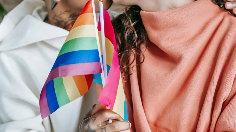 Суды в разных регионах признали экстремистскими несколько ЛГБТ‑инициатив и сообществ; под запрет попадают правозащитные проекты, центры помощи и медиапроекты, идут новые судебные разбирательства.