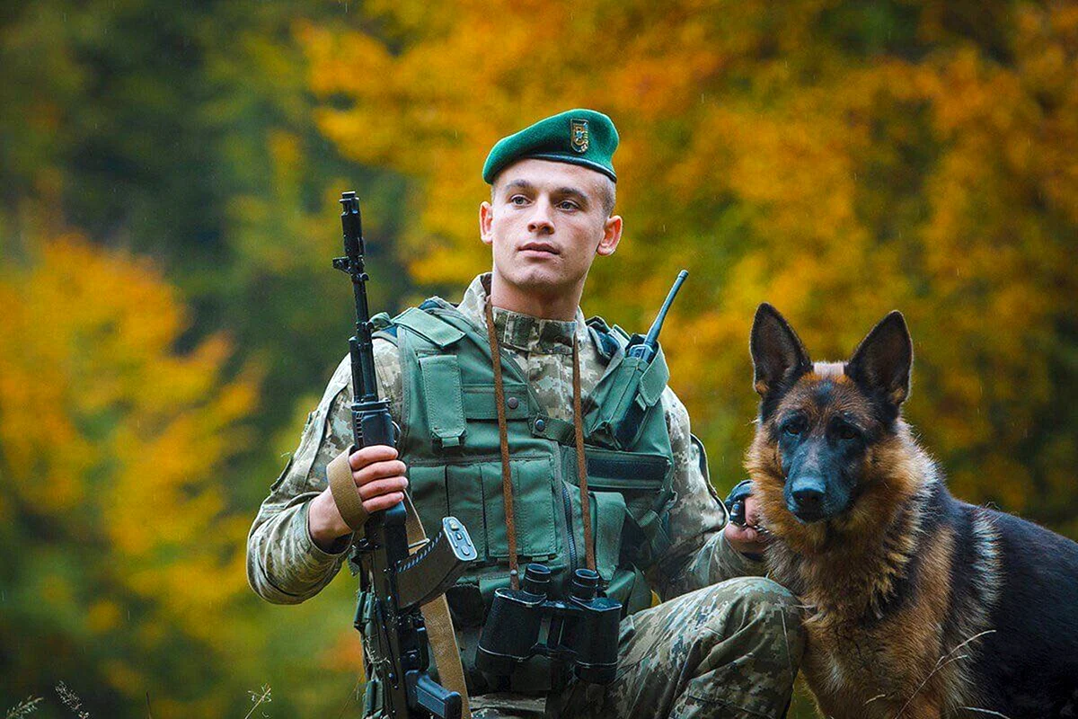 С 2021 по 2026 год ведомство объявляло не менее 43 аукционов по продаже списанных служебных собак — всего в лотах фигурируют 987 животных разных пород; большинство торгов не состоялись, судьба непроданных собак неизвестна.