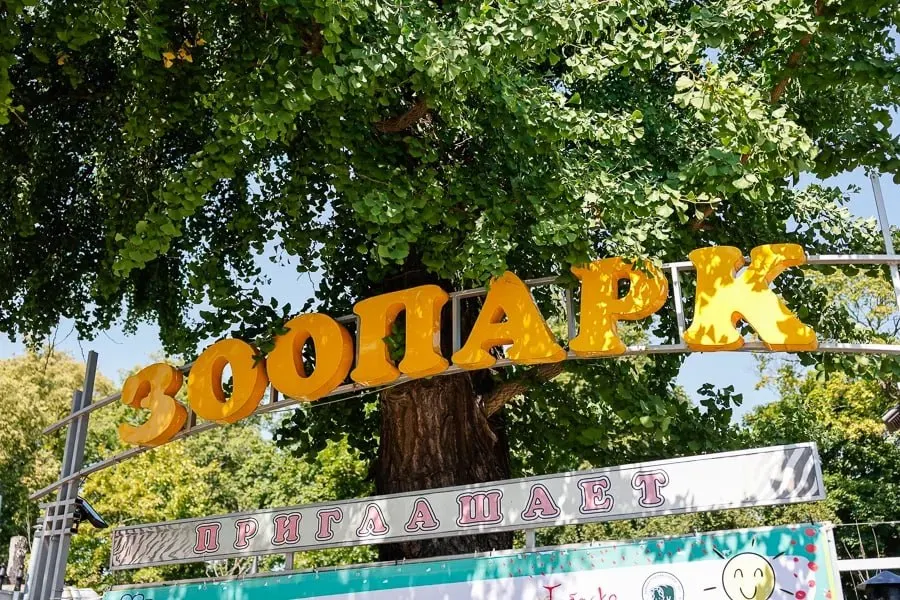 23 мая в 14:00 в Калининградском зоопарке пройдёт большой семейный праздник: симфонический оркестр, живая музыка у фонтана, тематические площадки в стиле прошлых эпох, барахолка, пункт приёма макулатуры и уличные игры.