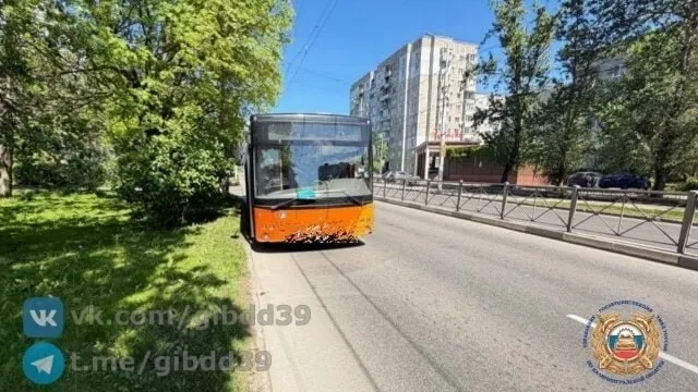 В Калининграде 39‑летняя женщина и её маленькая дочь получили травмы после резкого торможения автобуса; ребёнок госпитализирован в Детскую областную больницу с подозрением на закрытую ЧМТ.