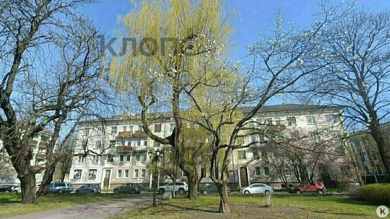 В администрации зафиксировали обрезку крупных ветвей по всей окружности кроны до 2,8–3 м. Разрешений не выдавали, по факту проведут проверку правоохранительные органы.