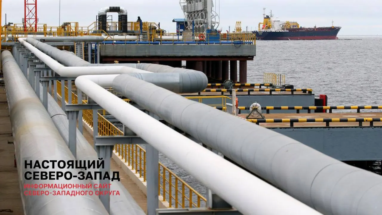 Государство планирует продать 20% акций Новороссийского морского торгового порта (НМТП). Операция проводится на фоне значительного дефицита бюджета; от продажи пакета рассчитывают получить порядка 33 млрд рублей. В состав оператора входят ключевые нефтяные порты, в том числе в Калининградской области.