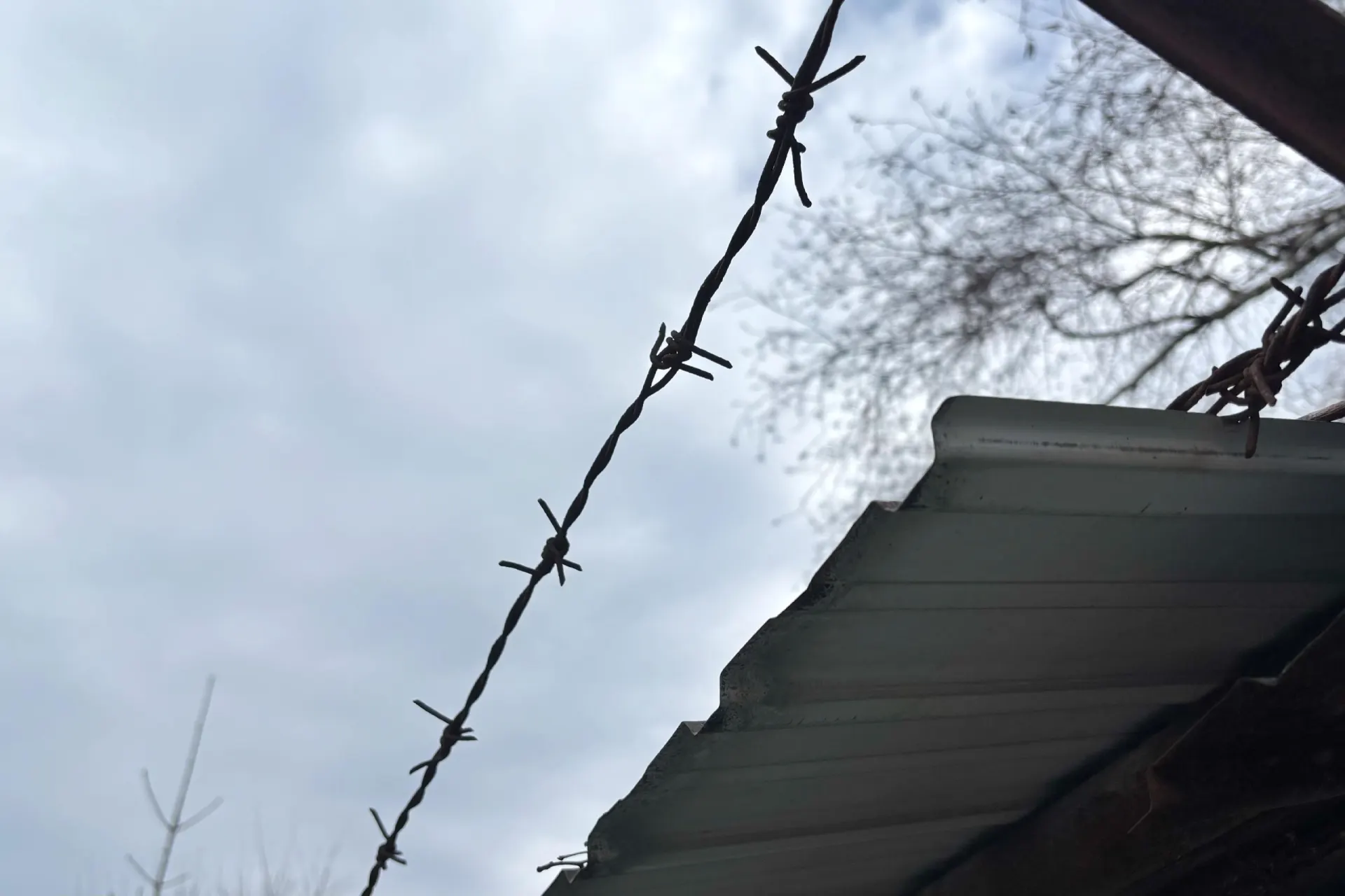 По версии следствия, женщина нанесла мужчине несколько ножевых ранений в голову; суд избрал ей меру пресечения — содержание в СИЗО.