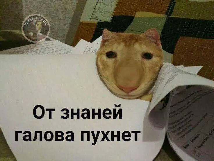 Минспорт планирует ввести тестовый норматив по управлению малым дроном в этом году; с следующего года по всей стране можно будет получить знак ГТО по этому испытанию — он даст до 10 баллов к результатам экзамена.