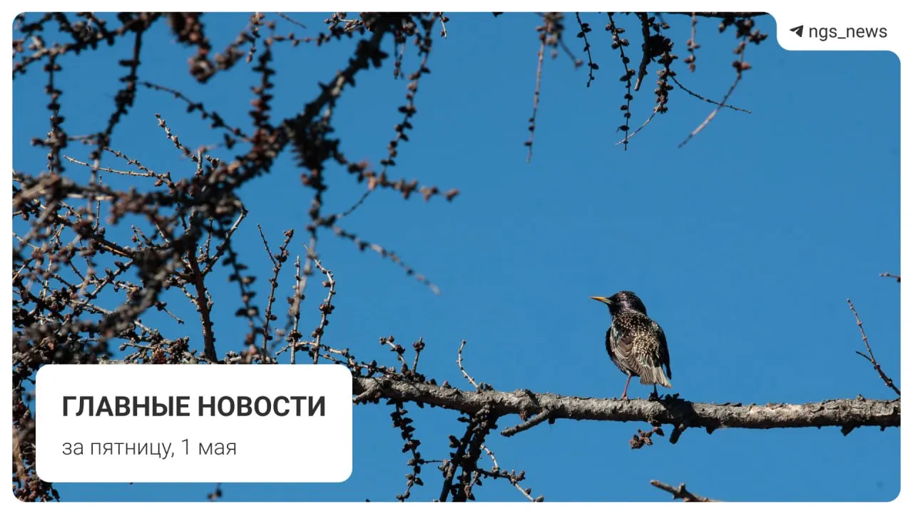 Ключевые события дня: в детской спортивной школе Татарска рухнул потолок — пострадавших нет. Также заметили поезд из старых вагонов на Дзержинской ветке, объявлена дата запуска фонтана в Центральном парке, коммунисты провели первомайское шествие, на площади Маркса произошёл погром.