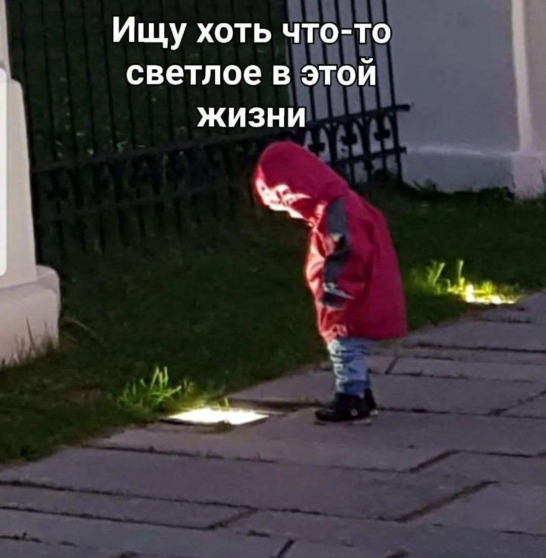 Депутаты фиксируют всплеск схем с фальшивыми сайтами отелей, лагерей и турфирм; предлагают создать единый информационный портал с проверенными сервисами бронирования.