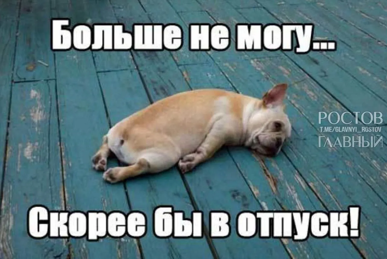 Инициатива депутатов предполагает поднять минимальную продолжительность отпуска до 35 дней, чтобы компенсировать выходные, включённые в нынешние отпуска, и снизить риск профессионального выгорания.