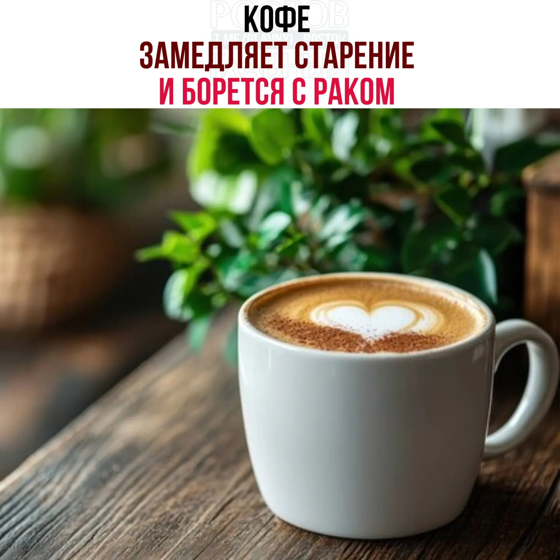 Исследователи обнаружили в кофейных зёрнах кислоты и полифенолы, которые усиливают работу белка NR4A1. Это снижает воспаление и ускоряет восстановление тканей — в опытах также заметили замедление роста раковых клеток.