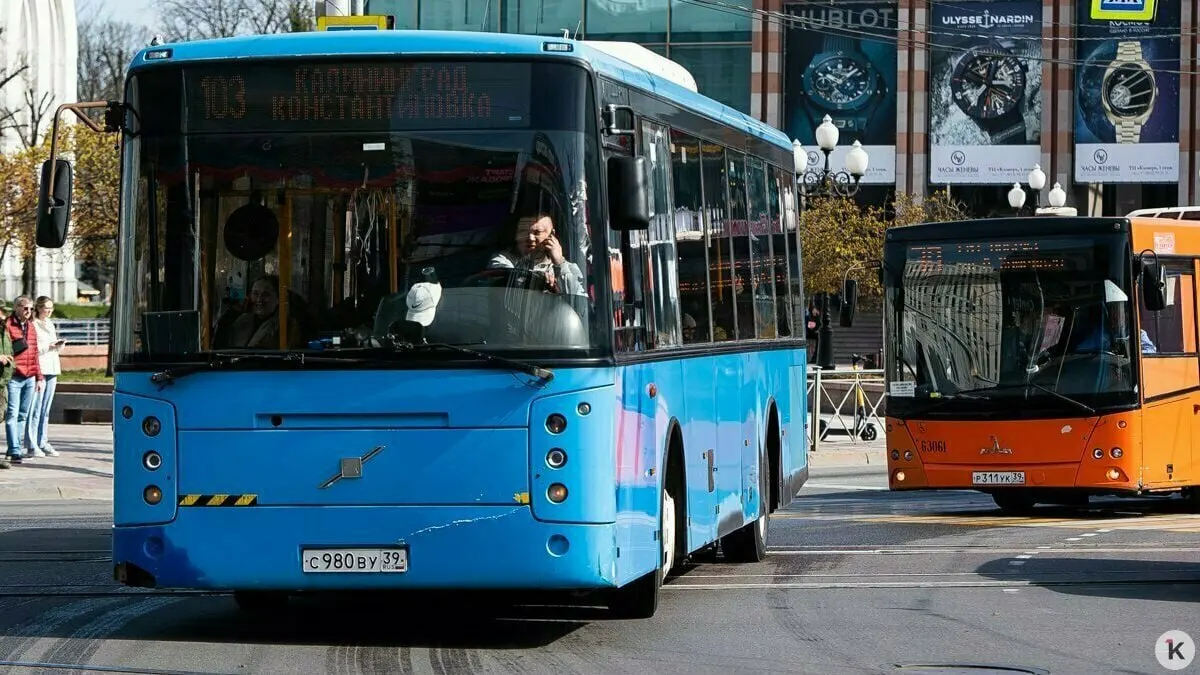 В&nbsp;Калининграде и&nbsp;области отменят часть автобусных рейсов на&nbsp;майские праздники
