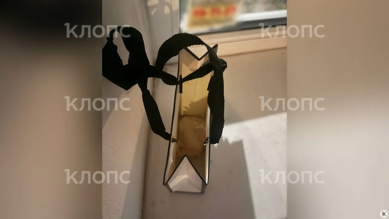 В&nbsp;Калининграде 15‑летняя школьница прислала соседям видео убийства котёнка и&nbsp;оставила на&nbsp;двери пакет с&nbsp;телом