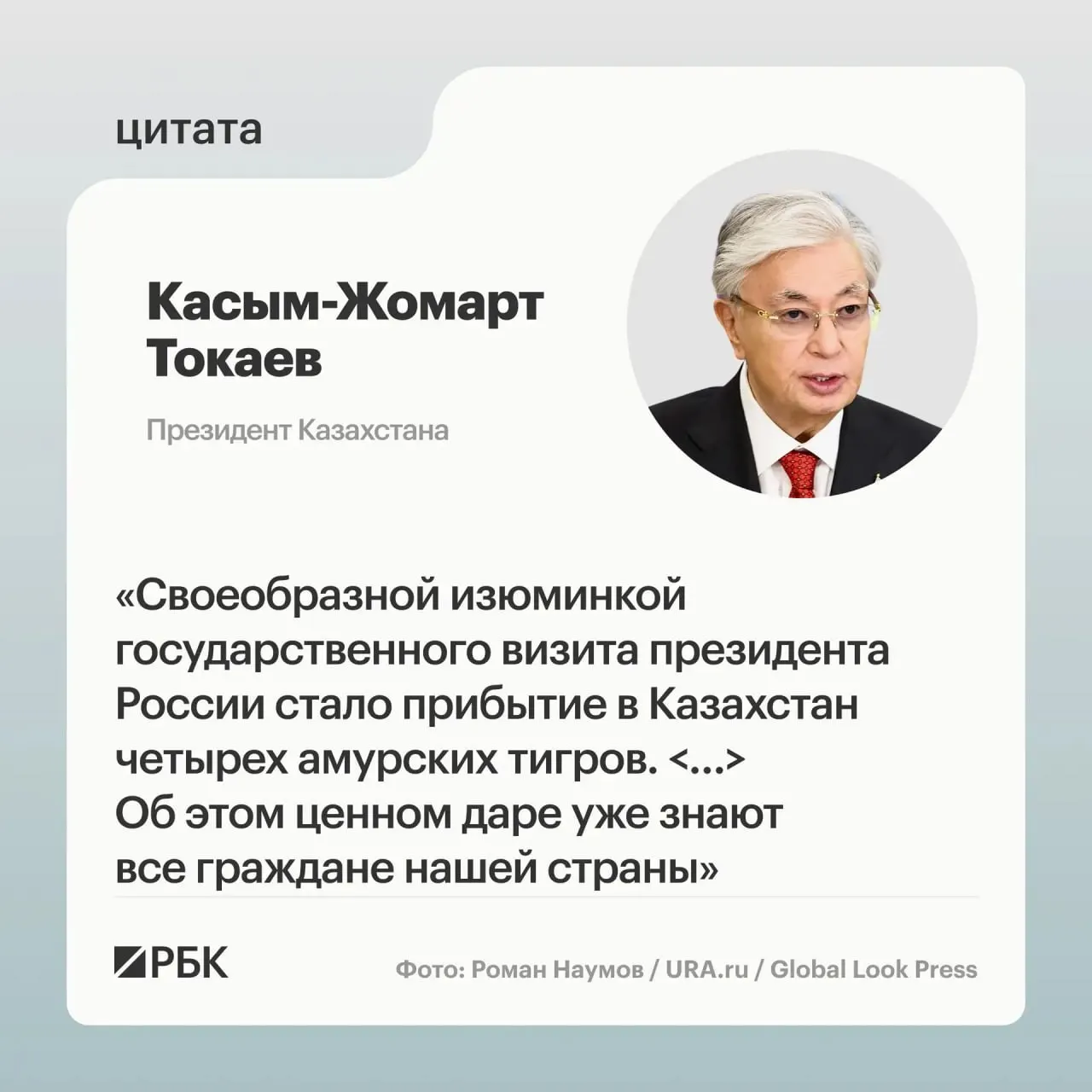 Президентам России и Казахстана показали презентацию о семье амурских тигров, которую Москва подарила Астане в рамках помощи по восстановлению популяции на территории республики.