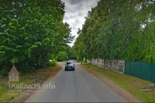 На участке от дома №100 до №127 планируют срубить клёны, ясени, липы и сливы; на их место посадят 22 липы и один куст форзиции — деревьев станет меньше.