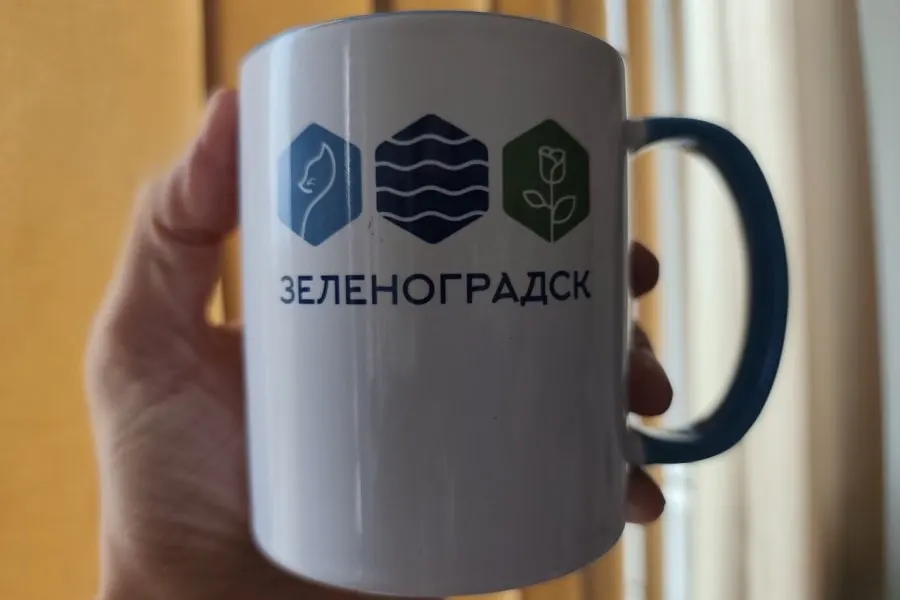 В двух парках Калининграда заметили элементы фирменного стиля Зеленоградска — логотипы и графику, утверждённые студентами БФУ. В дирекции заявили, что подрядчики использовали чужой бренд по ошибке и получили указание убрать или заменить оформление.