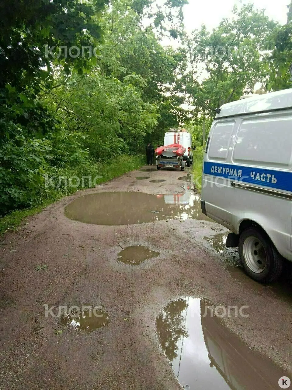 Тело мужчины нашли около полудня в заболоченном озере между зданием «Кикбокс арены» на Аллее Смелых, 207, и парком Ветеранов. На месте работают спасатели, обстоятельства происшествия уточняются.