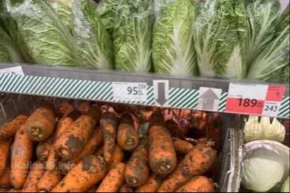 За месяц продуктовая корзина в крупных сетях Калининграда подорожала на 92–209 рублей — сильнее всего выросли цены на овощи и фрукты.