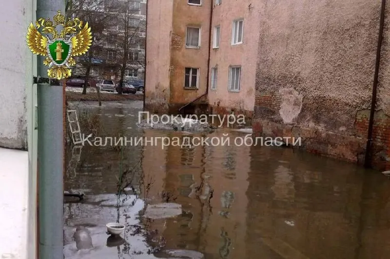 Калининградцам, переселённым по предписанию прокуратуры из дома №47–49, вручили квартиры на Борисовском бульваре. После осмотра здания было возбуждено уголовное дело.