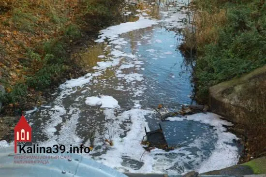 Прокуратура выявила массовые сбросы неочищенных стоков в&nbsp;водоёмы Калининградской области