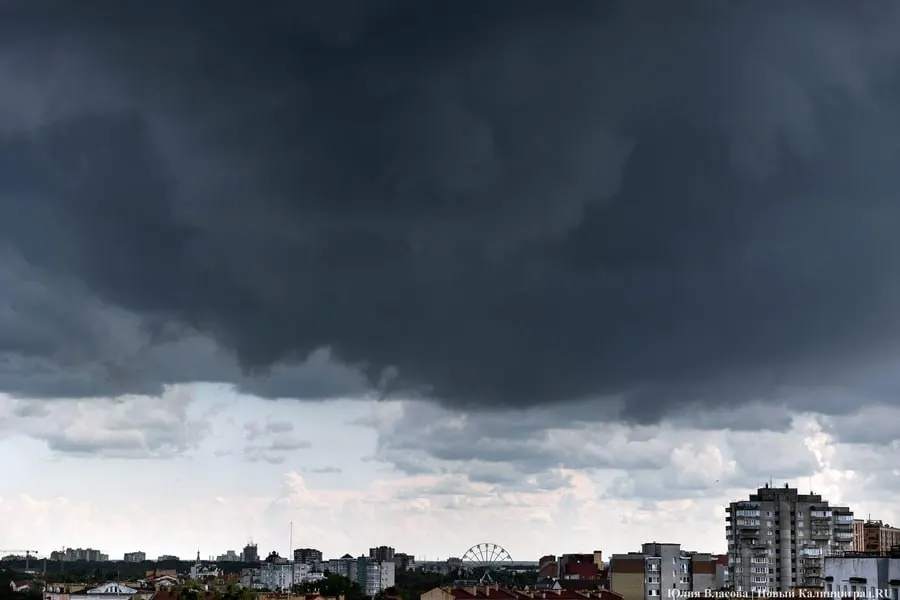 Тепло и&nbsp;кратковременные ливни в&nbsp;Калининграде 2&nbsp;июня