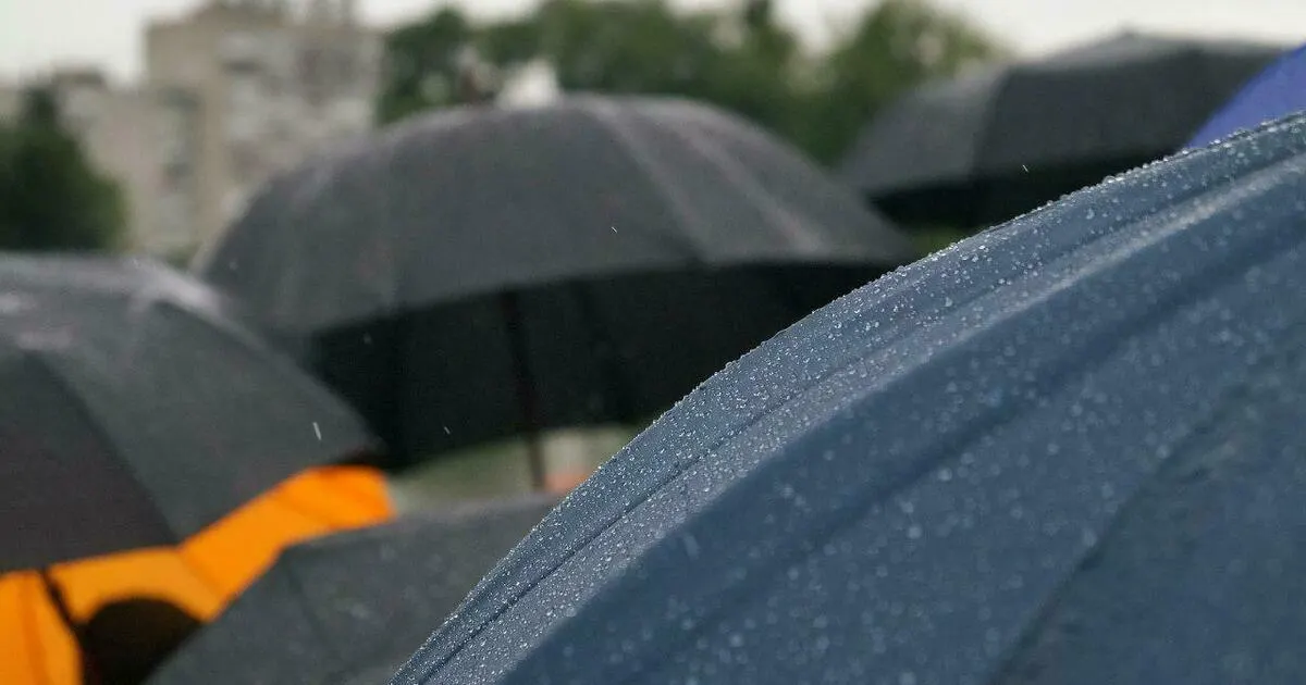 Утром до +15…+17 °C, на западе и побережье возможны кратковременные дожди. Днём — до +17…+19 °C, ветер северо‑западный, к ночи понижение до +10…+14 °C.