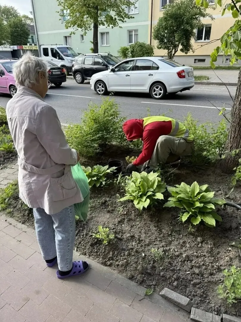 У дома на улице Павлика Морозова рабочие убрали благоустройство при расширении площадки ожидания автобуса. После спора с жительницей городские службы посадили новые растения, а хозяйка участвовала в оформлении обновлённой клумбы.