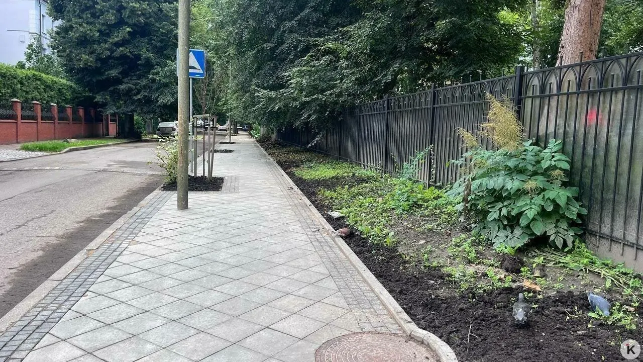 Мэрия добивается через суд возвращения территории, занятой самовольными постройками, чтобы обустроить безопасный подход к детскому саду; пока идут судебные разбирательства, работы начинать нельзя.