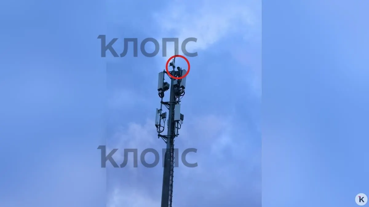 Вечером 5 июля прохожий заметил, как молодой человек поднялся на конструкцию у дома на Рассветной. На месте вызвали 112, информацию передали участковому.