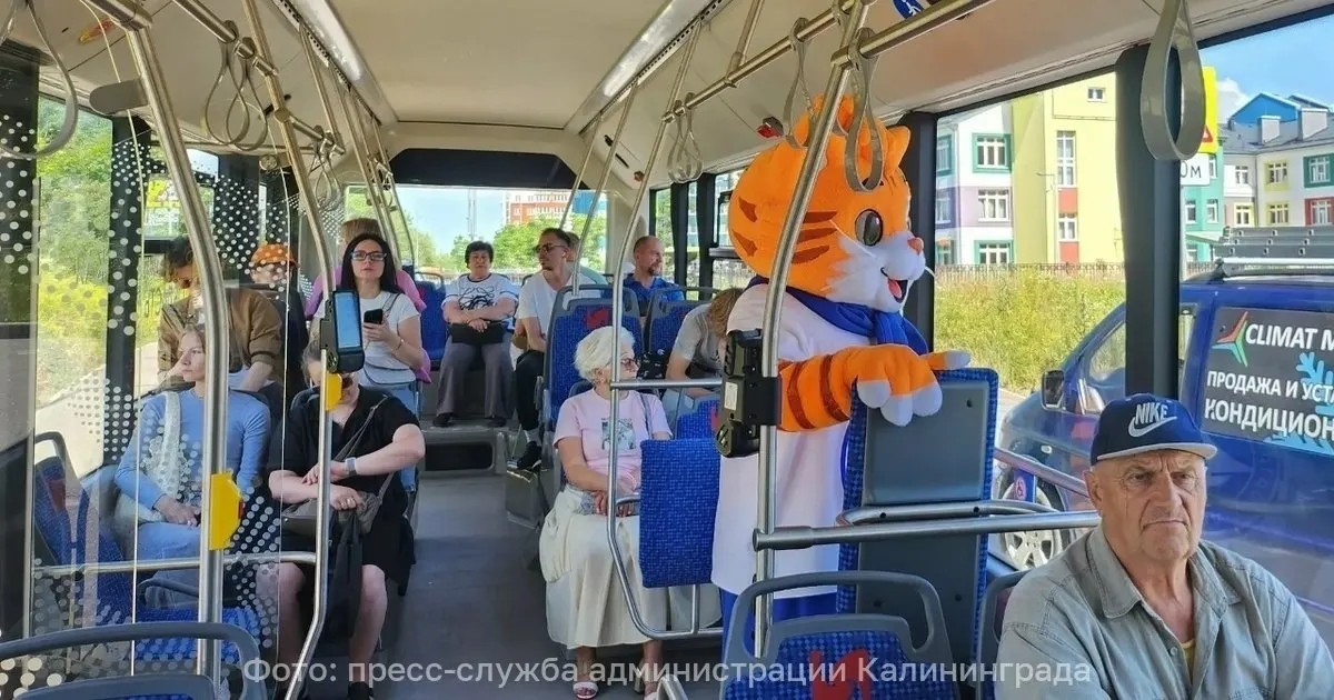 Электробус будет курсировать в тестовом режиме между дворцом спорта «Янтарный» и улицей Аксакова. Перед выпуском его обкатали без пассажиров.