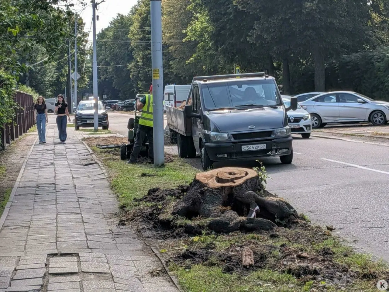Комиссия признала деревья аварийными и рекомендовала санитарную рубку 26 лип. Часть аллеи уже вырубили, другие деревья пока сохранились; компенсационное озеленение запланировано на осень 2027 года при наличии финансирования.