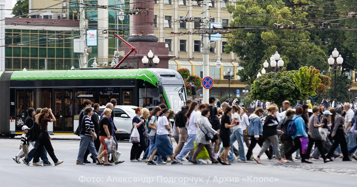 На улице Черняховского в Калининграде оборвался контактный провод; движение трамваев временно перенаправлено по объездным улицам до устранения аварии.