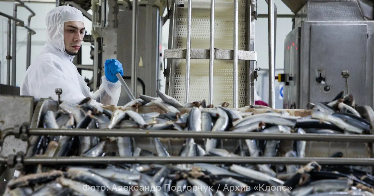 Калининградская компания экспортировала в&nbsp;Грузию 16&nbsp;тонн морепродуктов