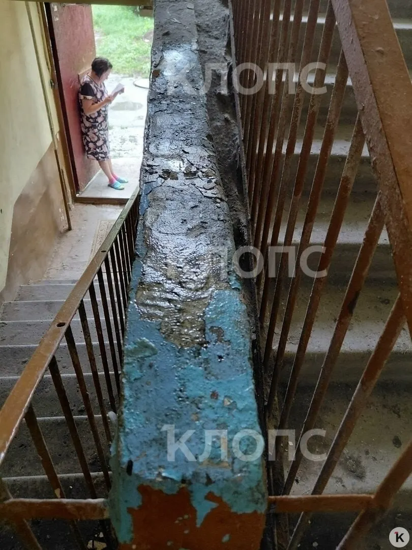 В доме №106 на Балтийском шоссе течёт крыша, в квартирах и подъездах растёт плесень, а в подвале — нашествие блох; жильцы годами добиваются помощи от УК.